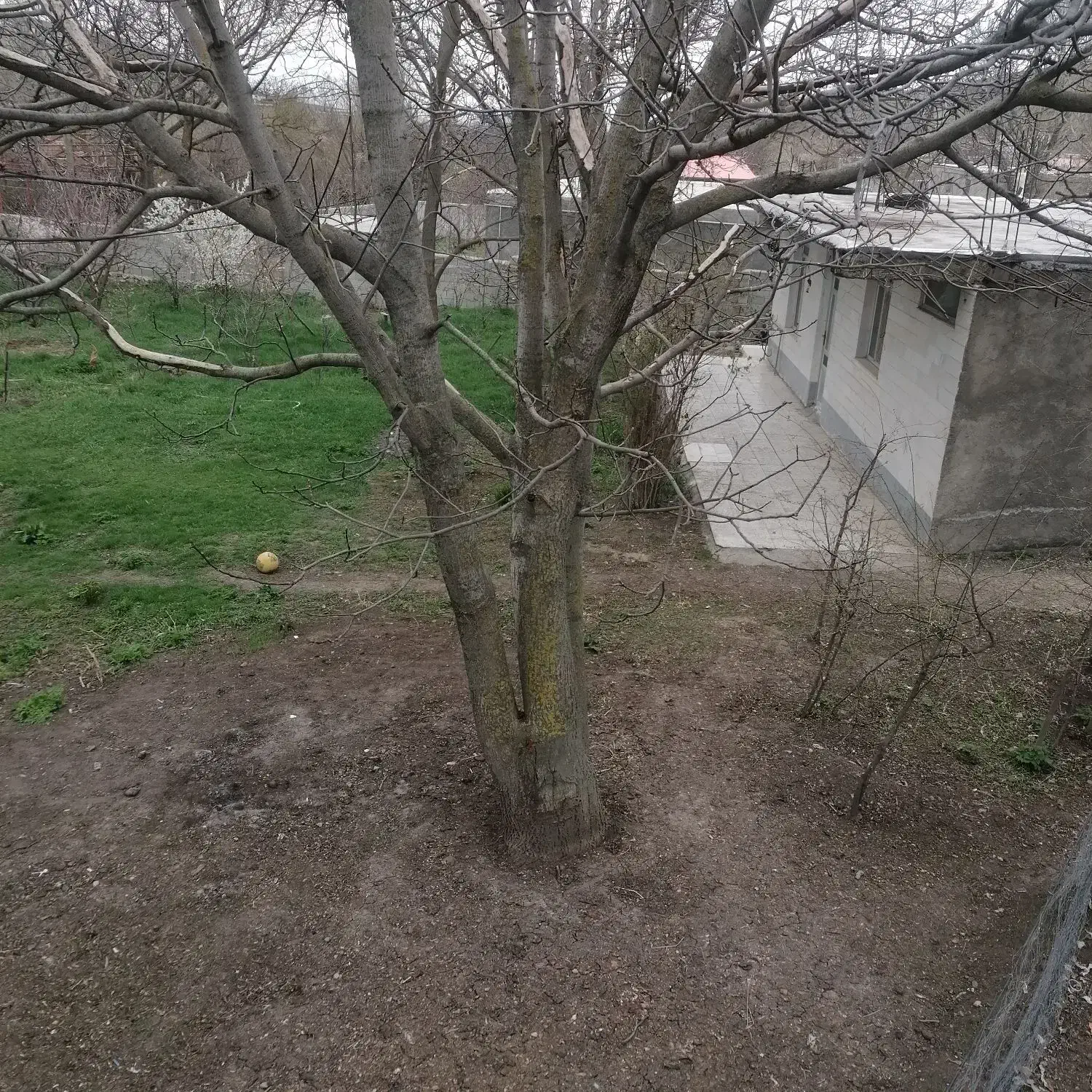 خانه ویلایی با باغ