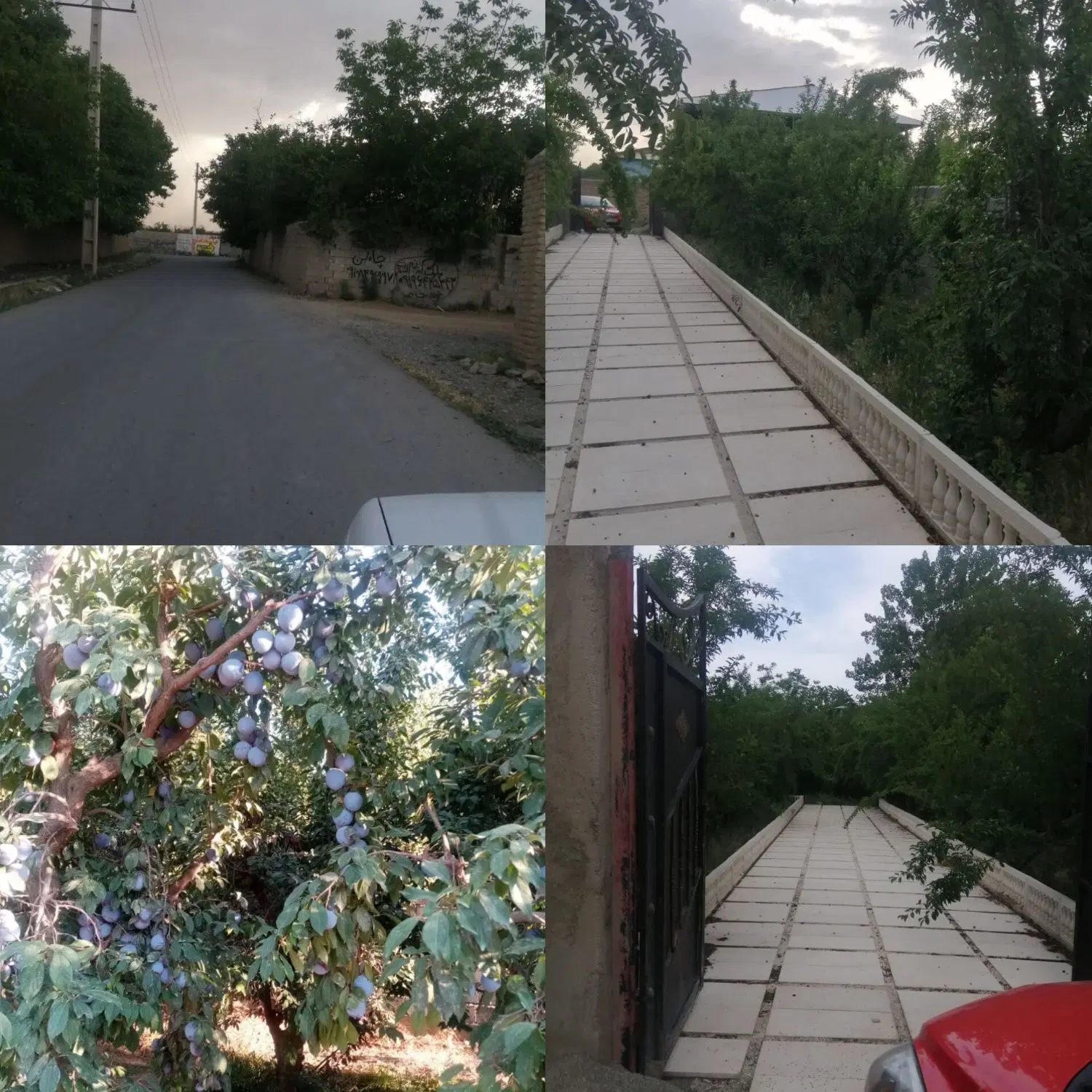 فروش زمین کشاورزی