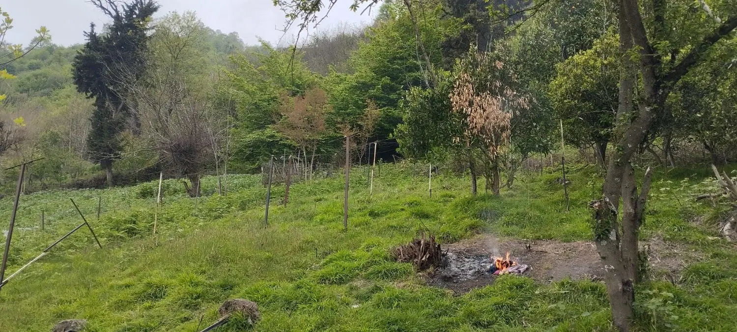 200 متر زمین در تالش در طرح هادی