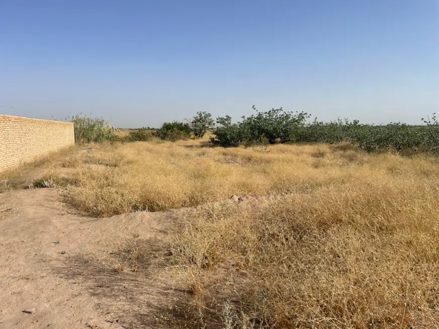 زمین مسکونی باغ اب