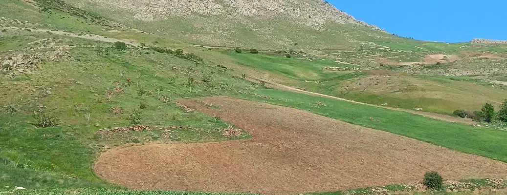 زمین باغ