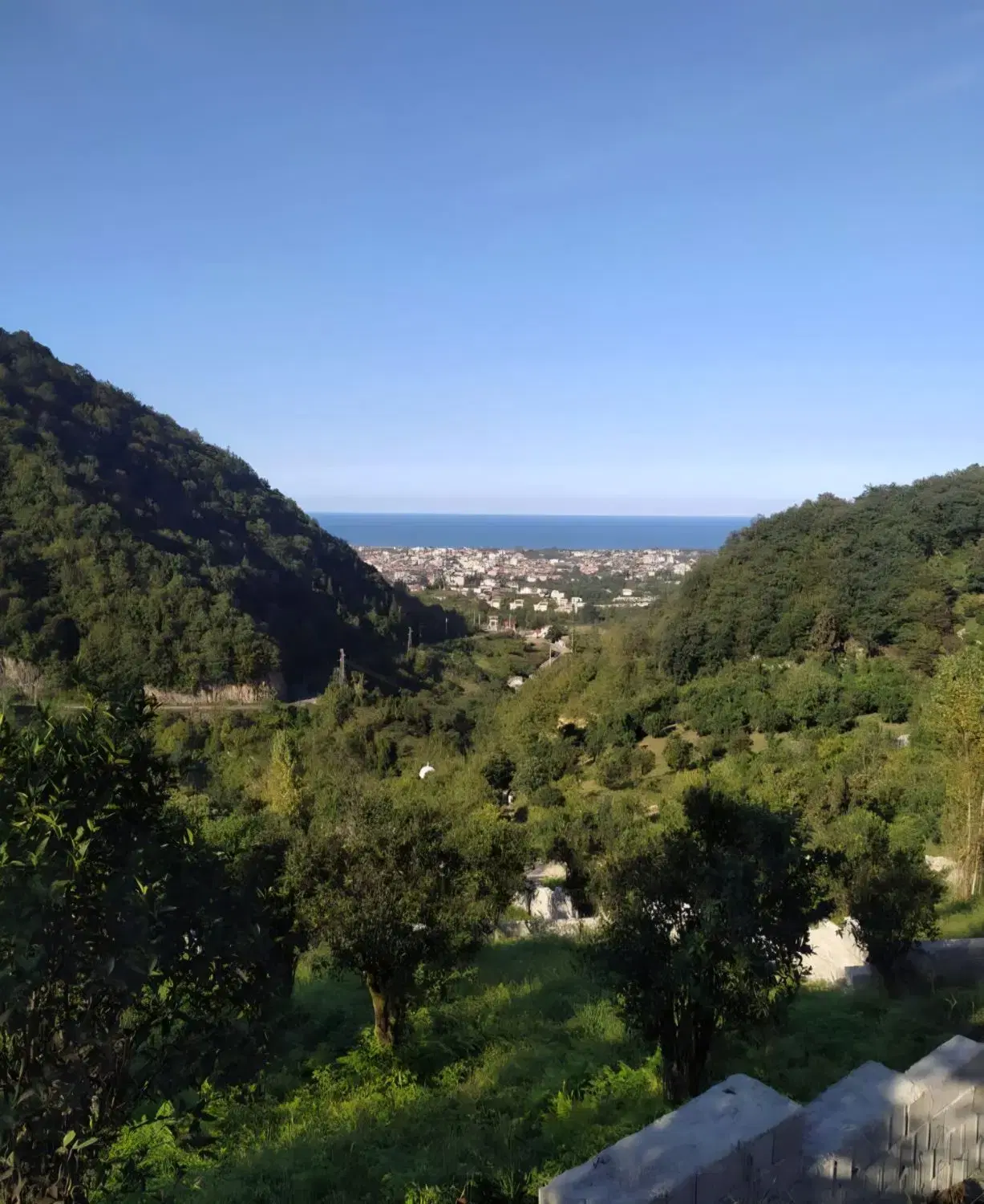 ۸۰۰ متر زمبن باغات در اربکله