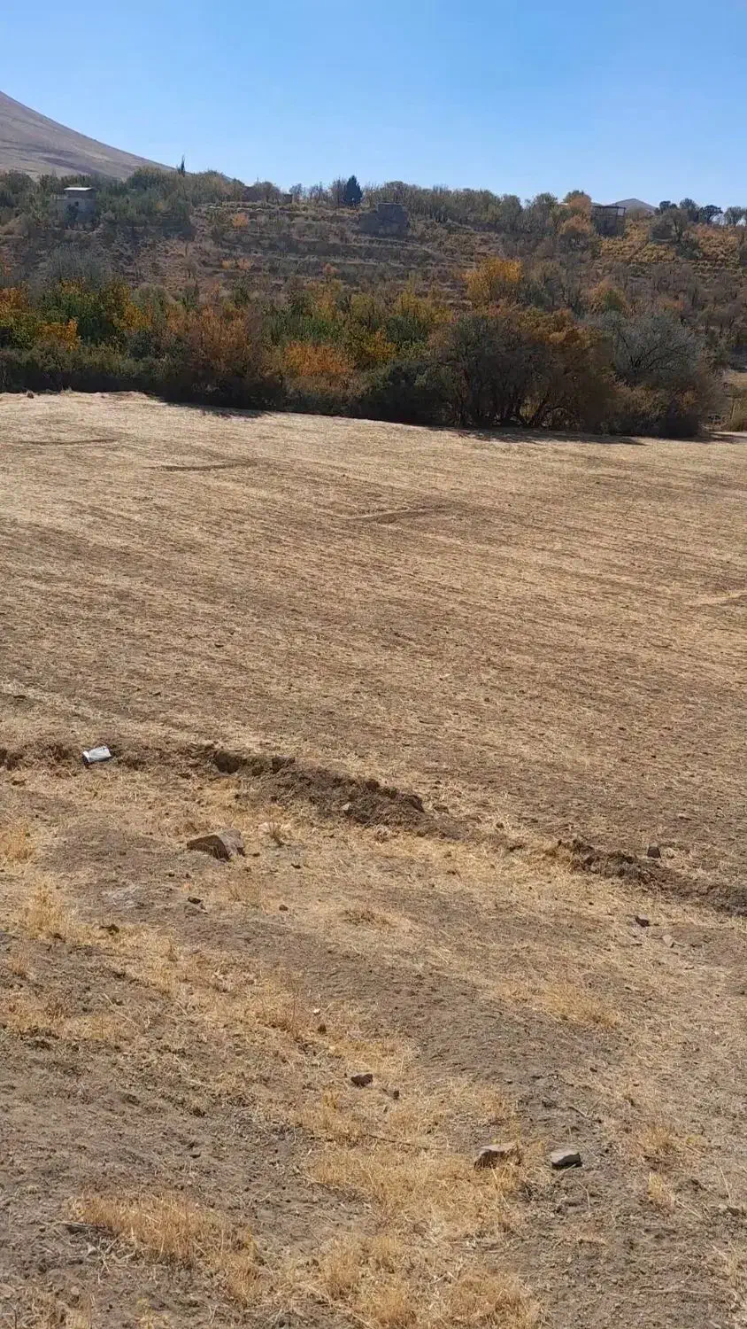یک قطعه زمین دِیم واقع در روستای گزنهله .