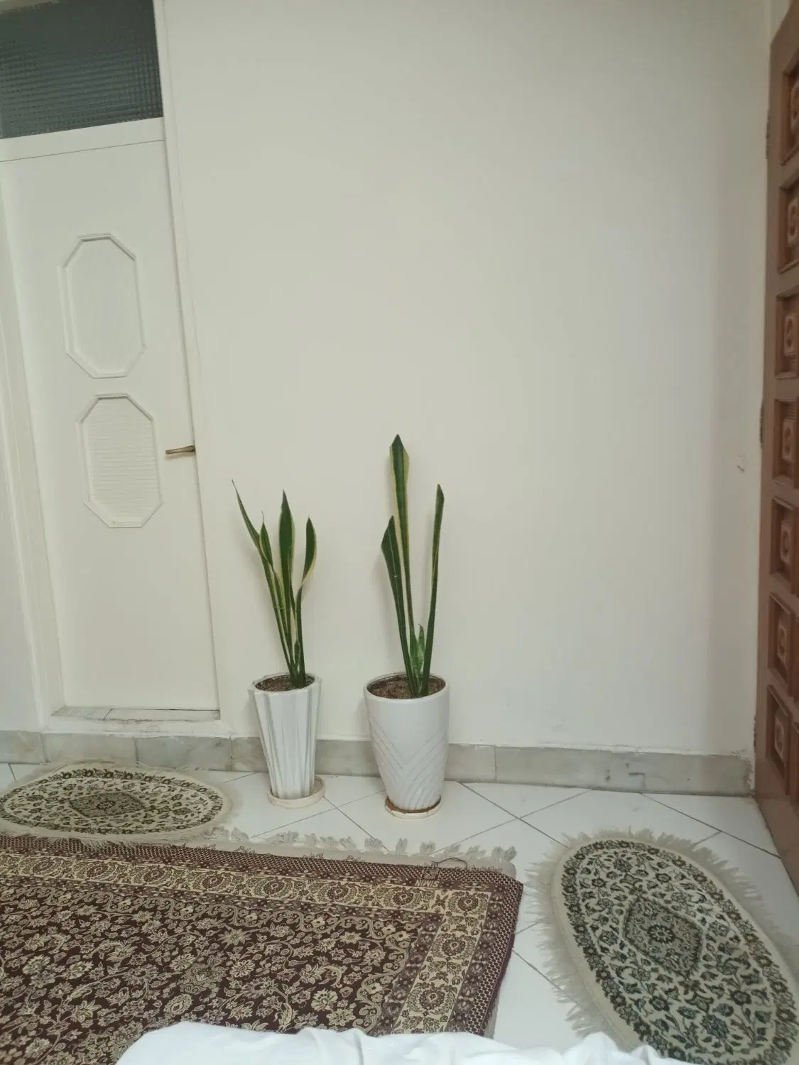 کارگاه ۲۰ متری طبقه همکف دارم