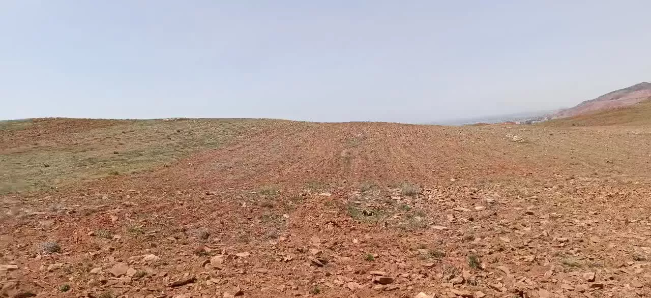 زمین زراعی