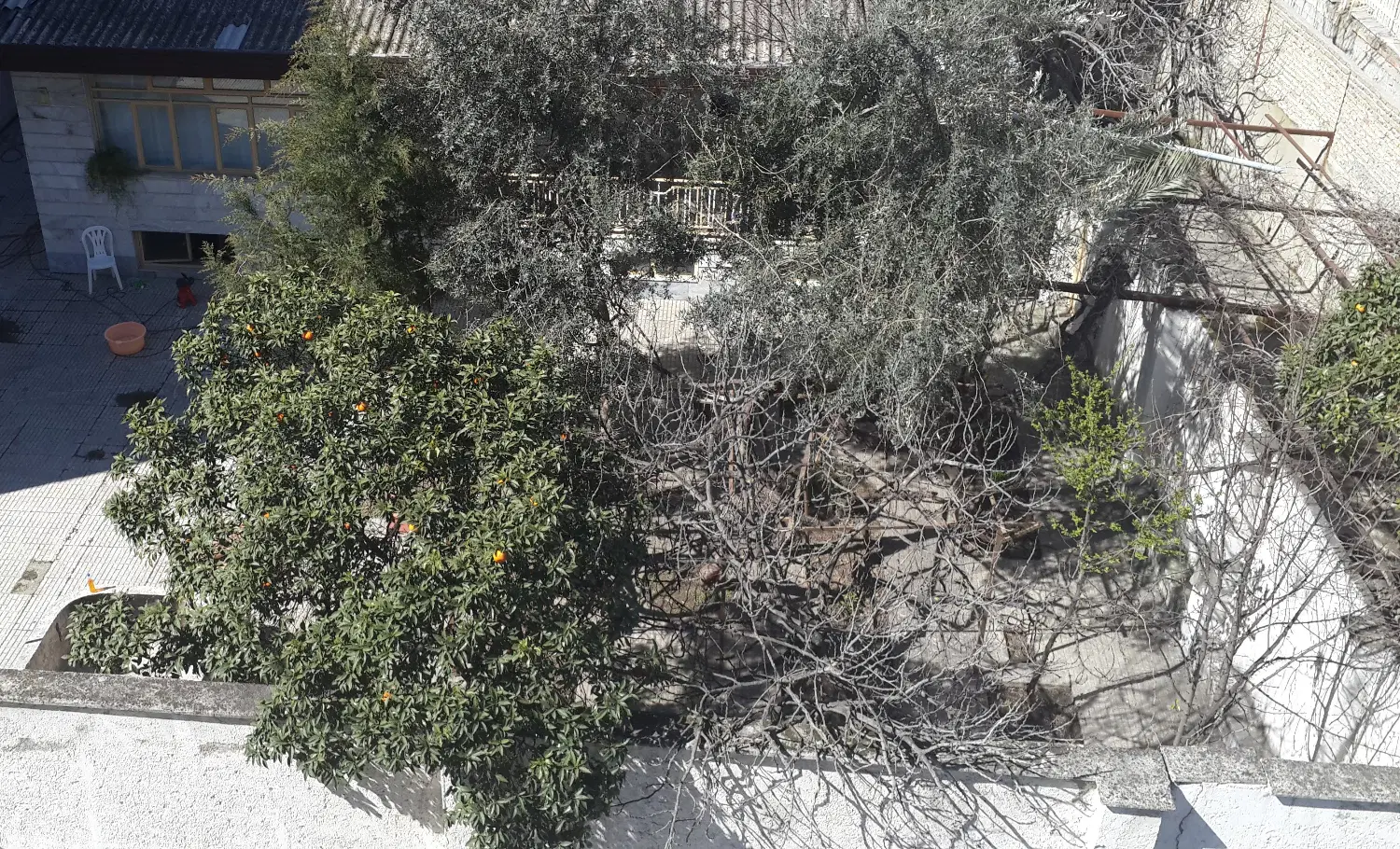 فروش زمین مسکونی تجاری ساری بر اصلی خیابان فلسطین