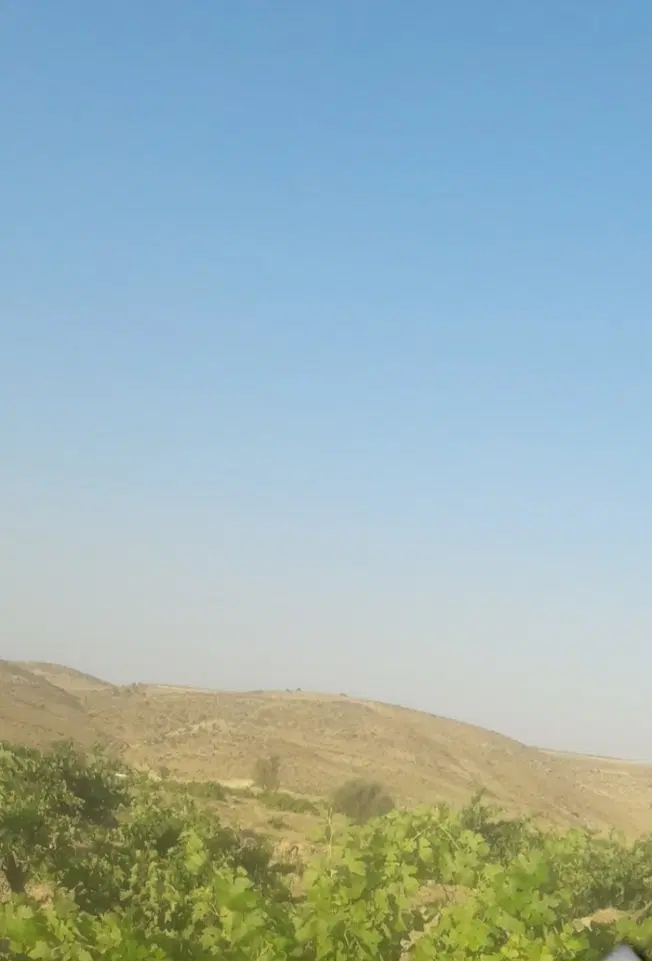 باغ ۵۰۰۰ متری جاده هفت برم