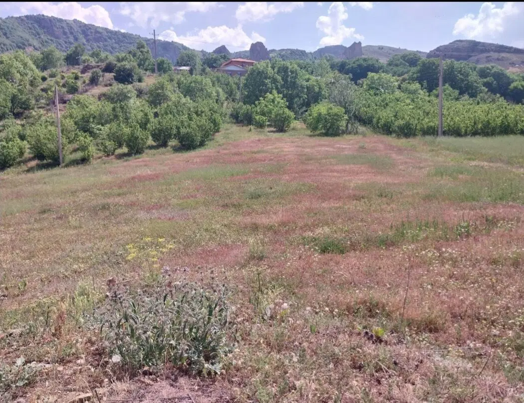 زمین کاربری مسکونی سیاهکل دیلمان