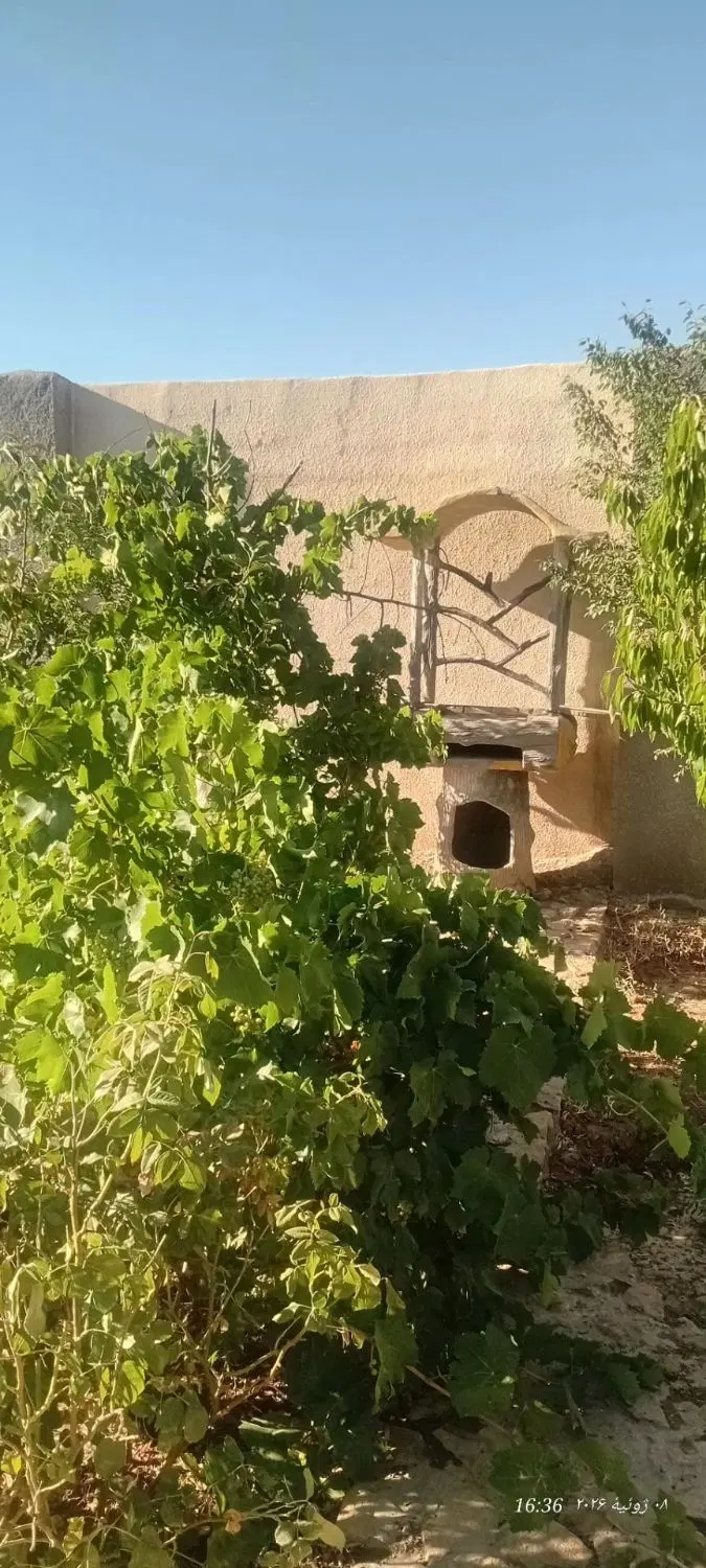باغ ۵۰۰ متری در گنبدواز