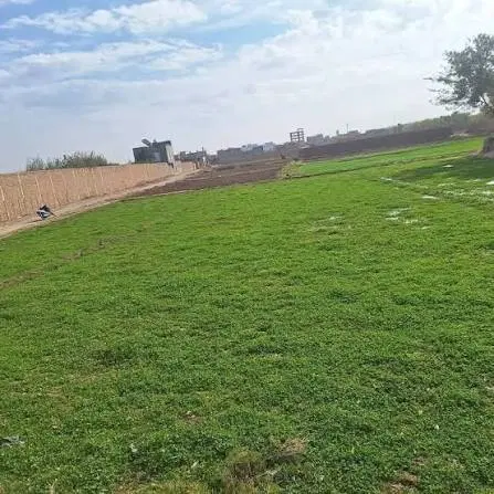 زمین کشاورزی جاده خیراندیش