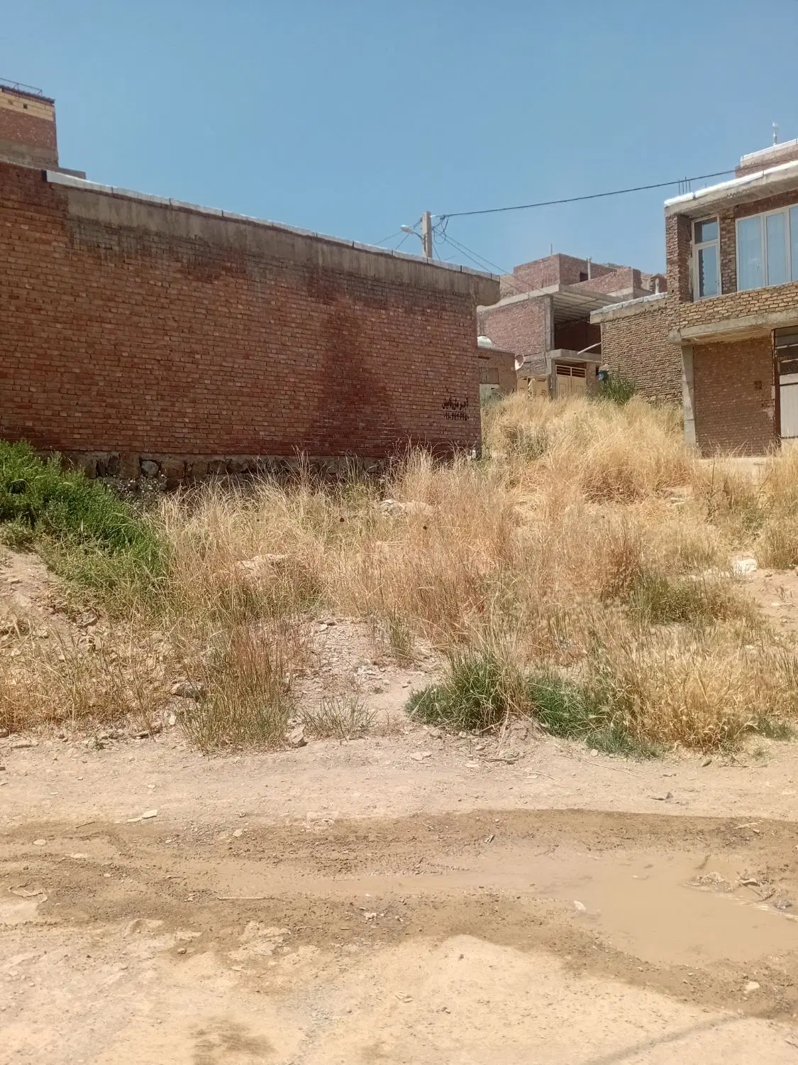 زمین سیداباد