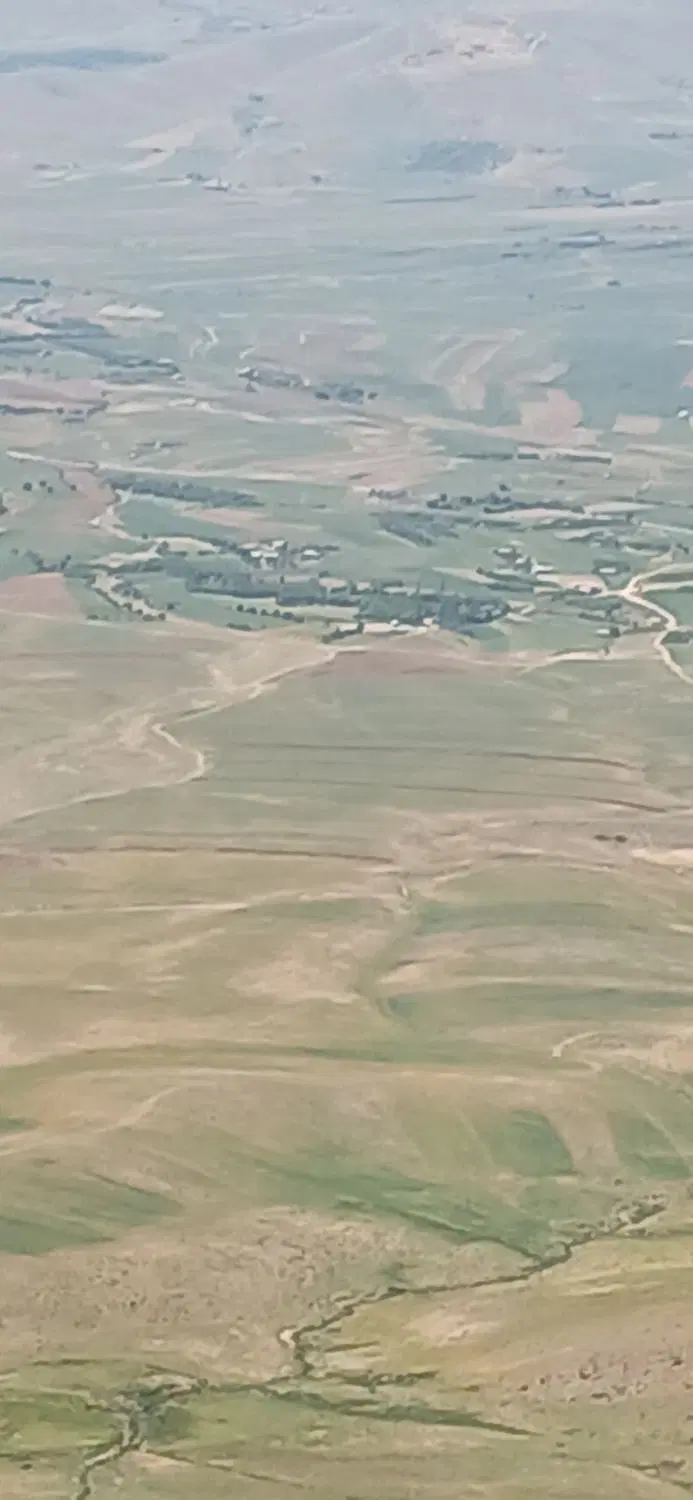 زمین دیم زار