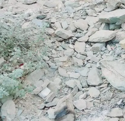 زمین مسکونی