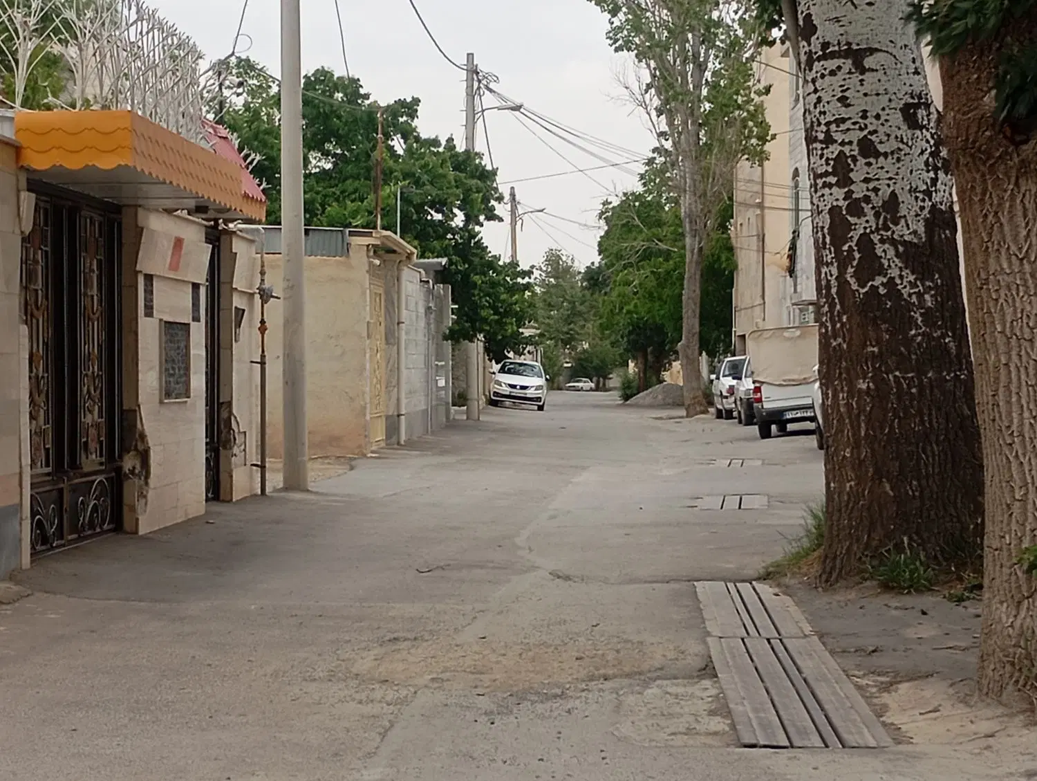 تعدادی زمین درجه یک