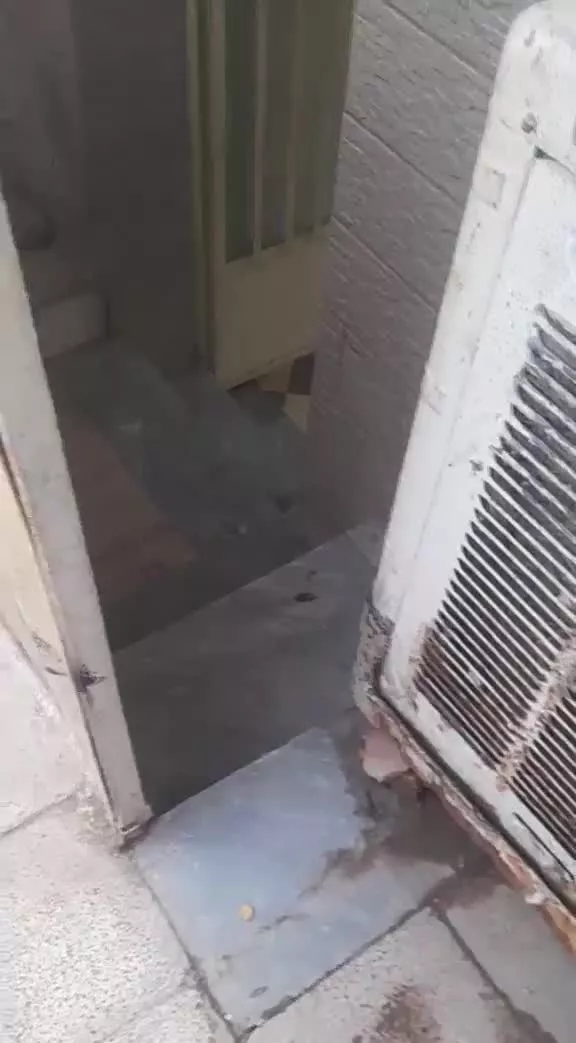اجاره پیلوت