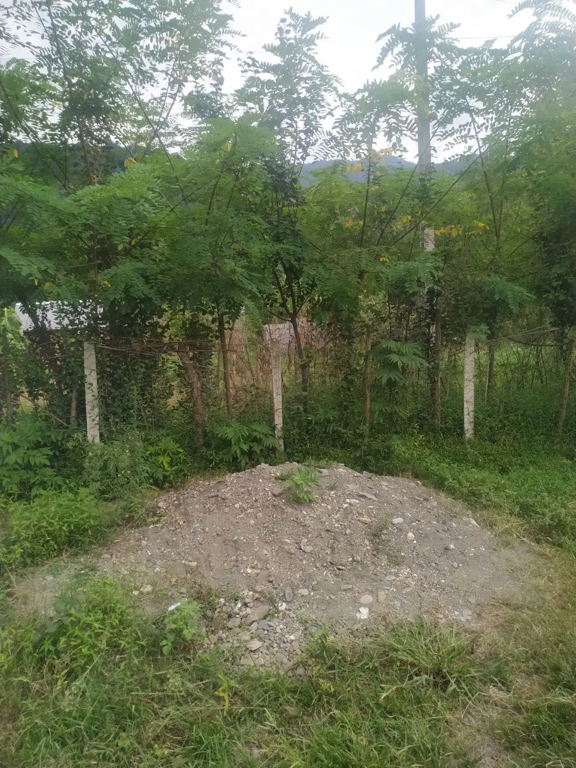 زمین باغی داخل طرح با دسترسی فوق العاده