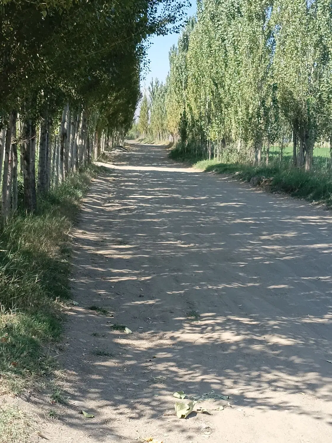 فروش زمین ویلایی