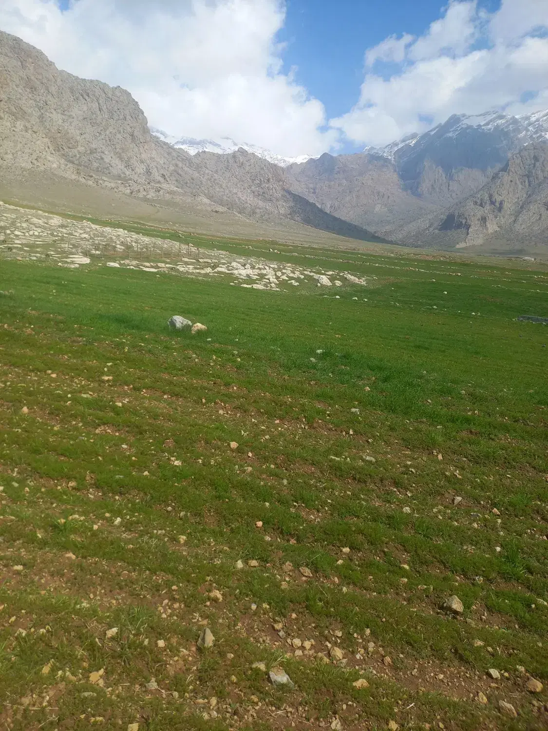 زمین چالابه در طرح هادی