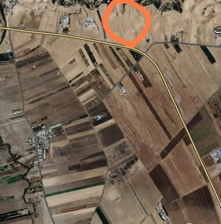 زمین کشاورزی تجاری