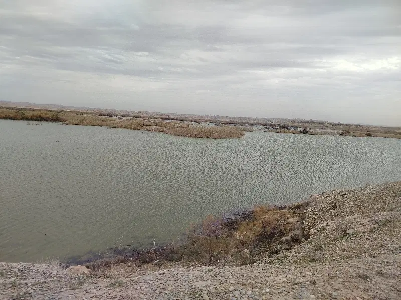 زمین کلنگی
