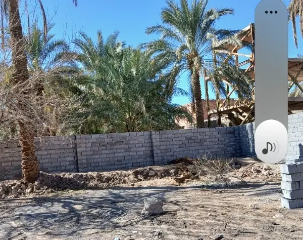زمین باغی عرب خونه (۲۲ بهمن)