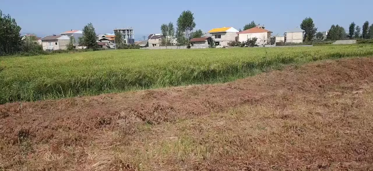 شهری به مساحت ۲۸۴۰۰ متر مسکونی و آزاد هکتاری