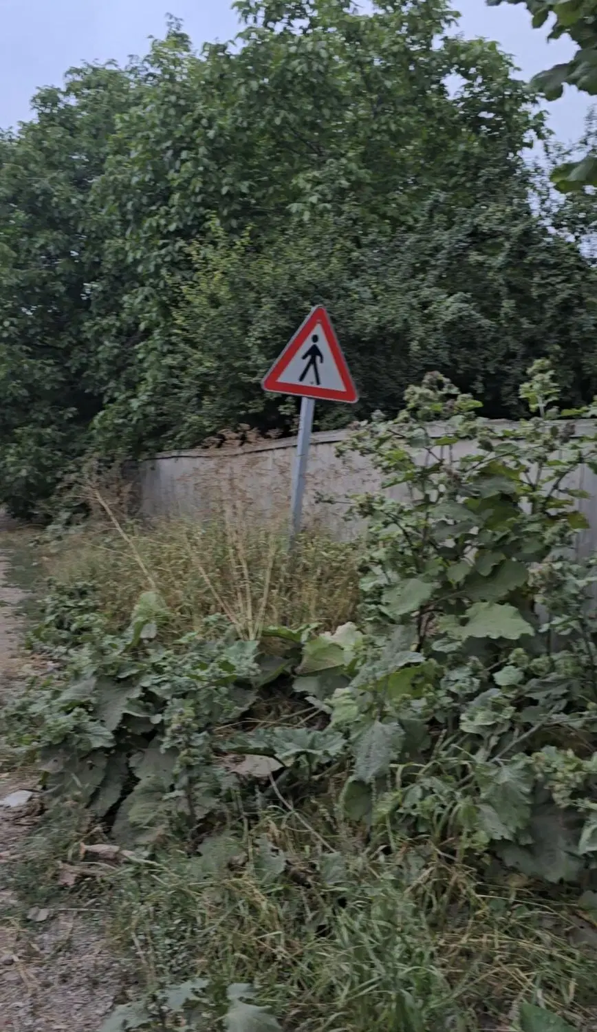 زمین مسکونی در دیلمان
