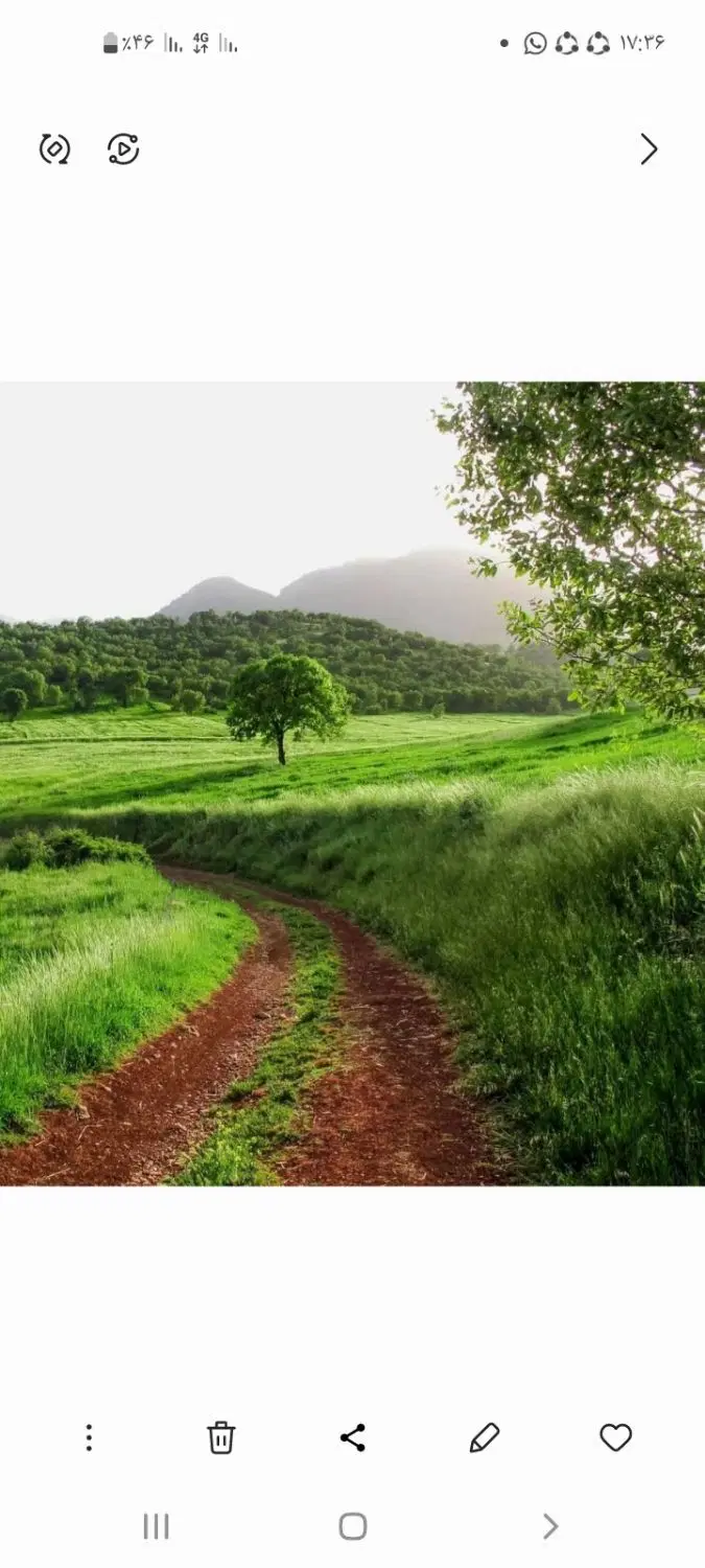 تلخسرو فرعی ۲۱ فروش زمین ۲۸۱ متری