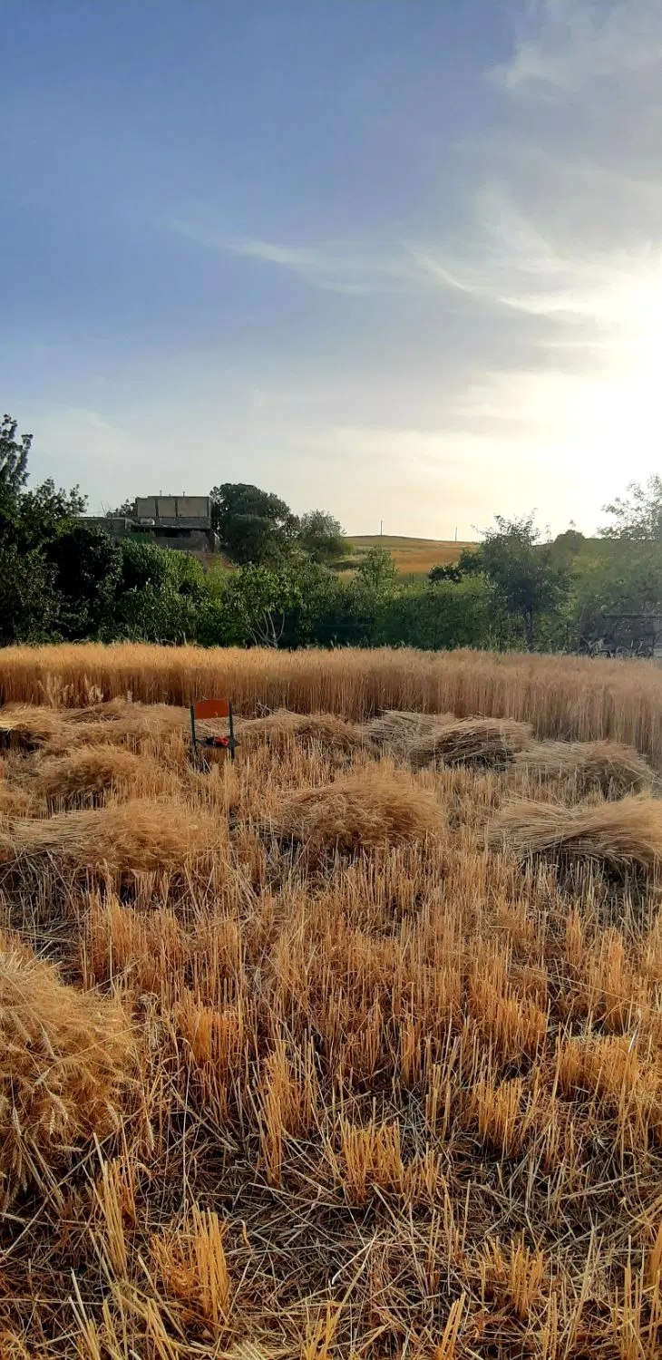 زمین و خانه کلنگی