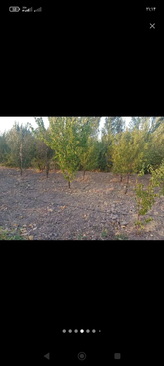 باغچه هزار متری جاده سنندج سراهی قزانچی