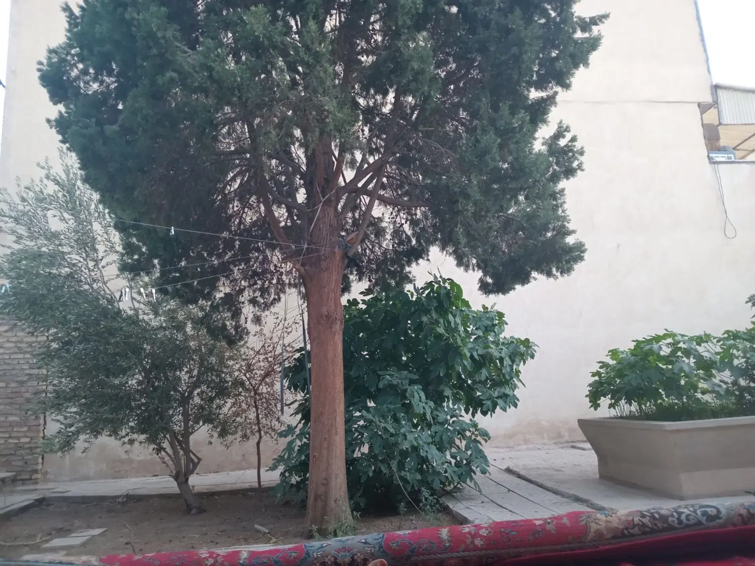 زمین فروشی