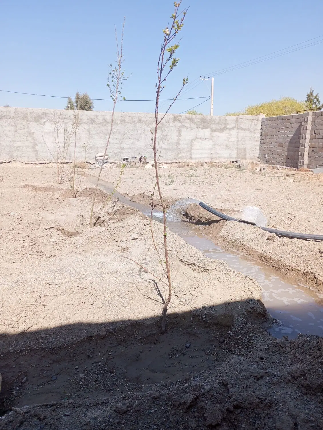 زمین چهار دیواری کبوتر آباد ۵۰۰ متر