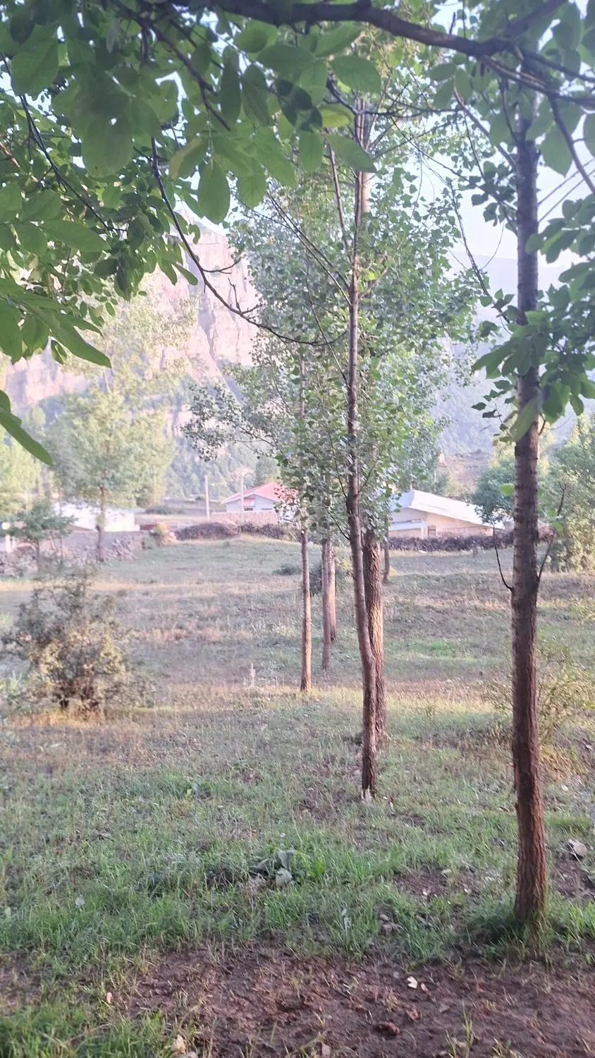 زمین مسکونی در جاده چالوس