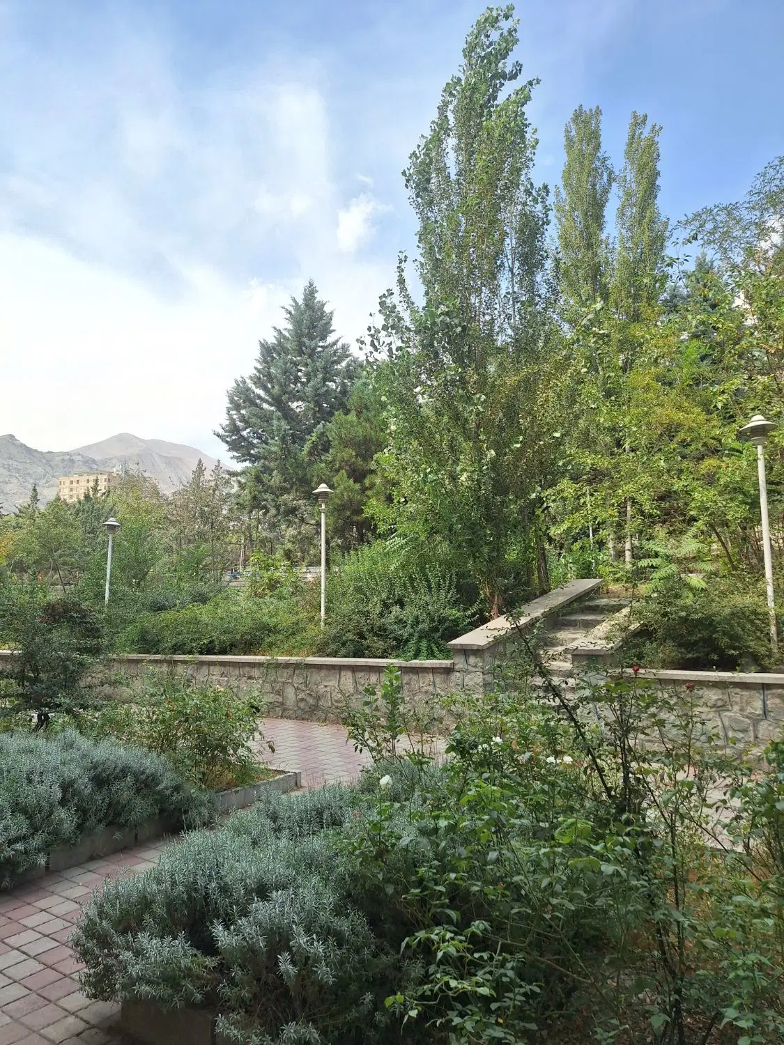 زمین مسکونی ۲۲۹ متر فاضل آباد