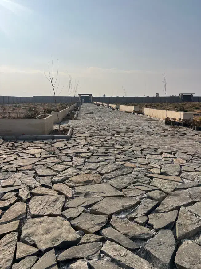 باغچه شهرکی با سند تک برگ مناسب سخت پسندها