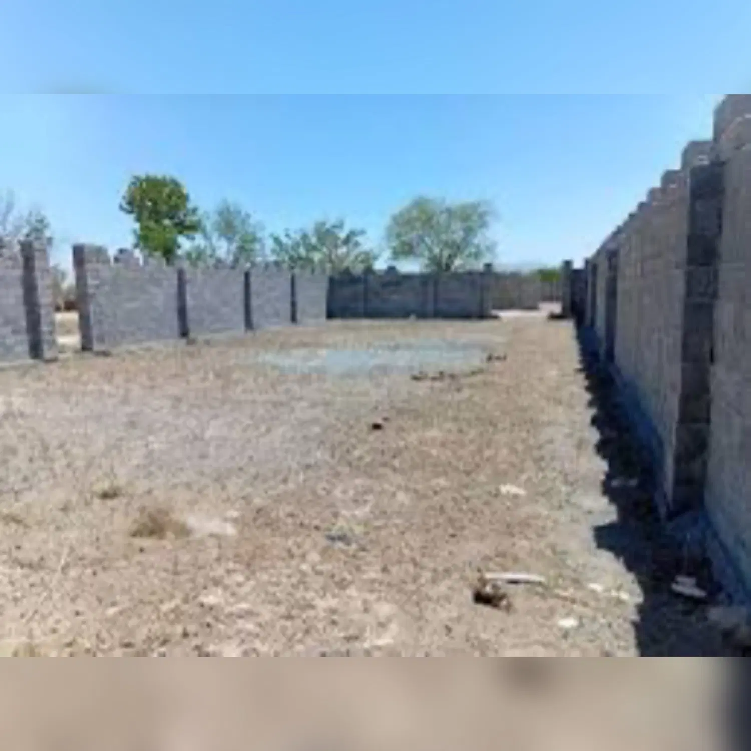 معاوضه زمین۷۲۰متری محمدشمسی تازیان
