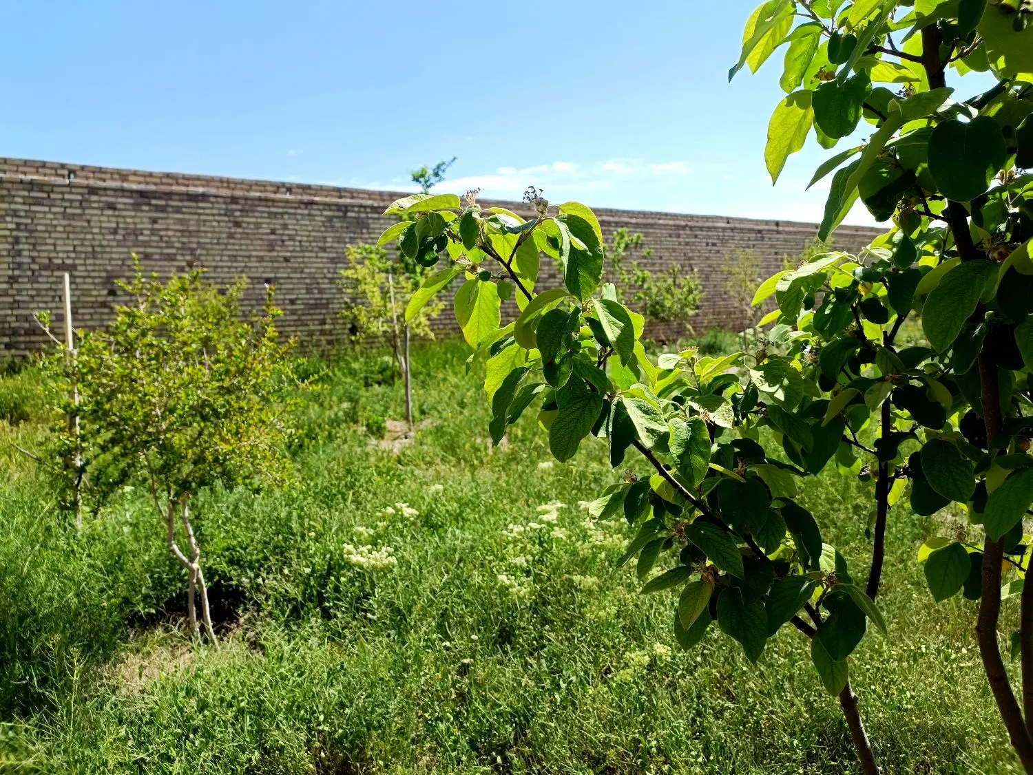 باغ ویلا