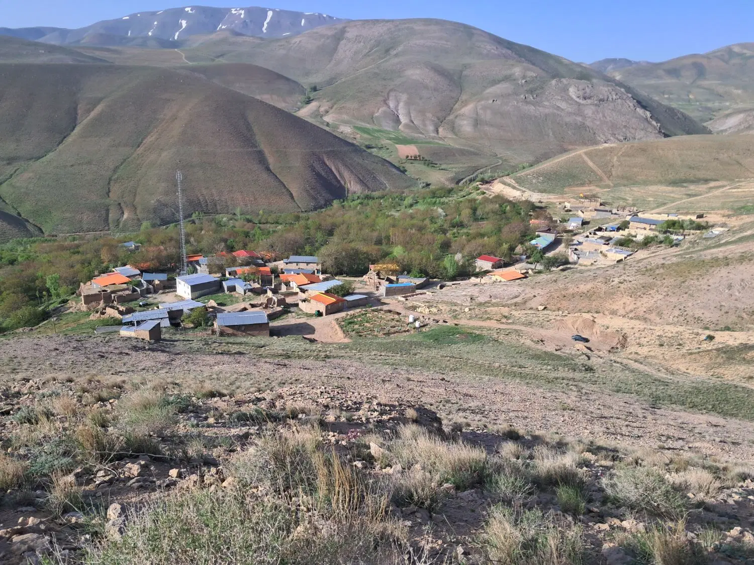 زمین وحدت 17