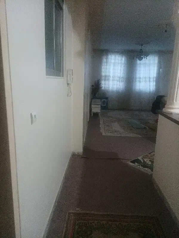 نیاز به همخونه خانم