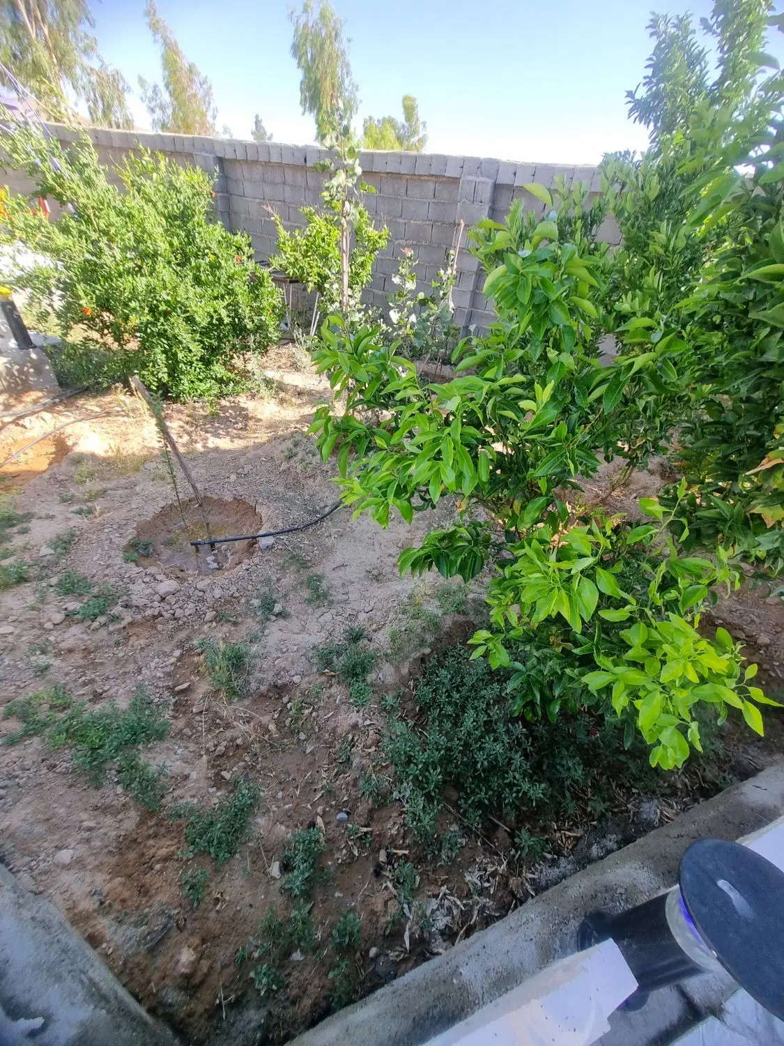 باغشهری نشاط