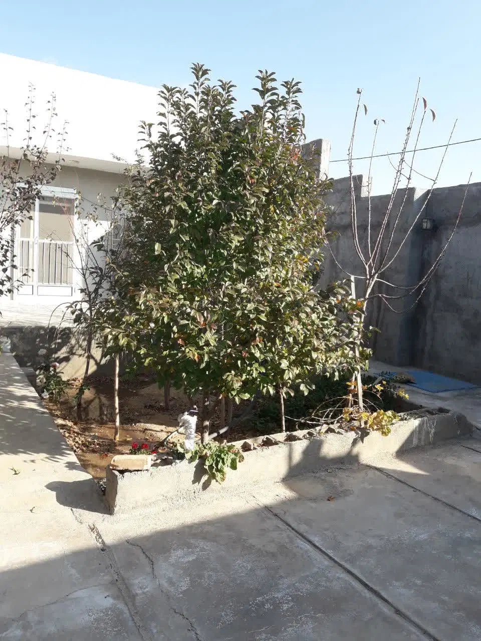 خانه باغ
