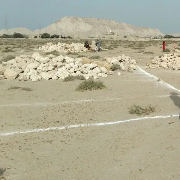 زمین تلمبو