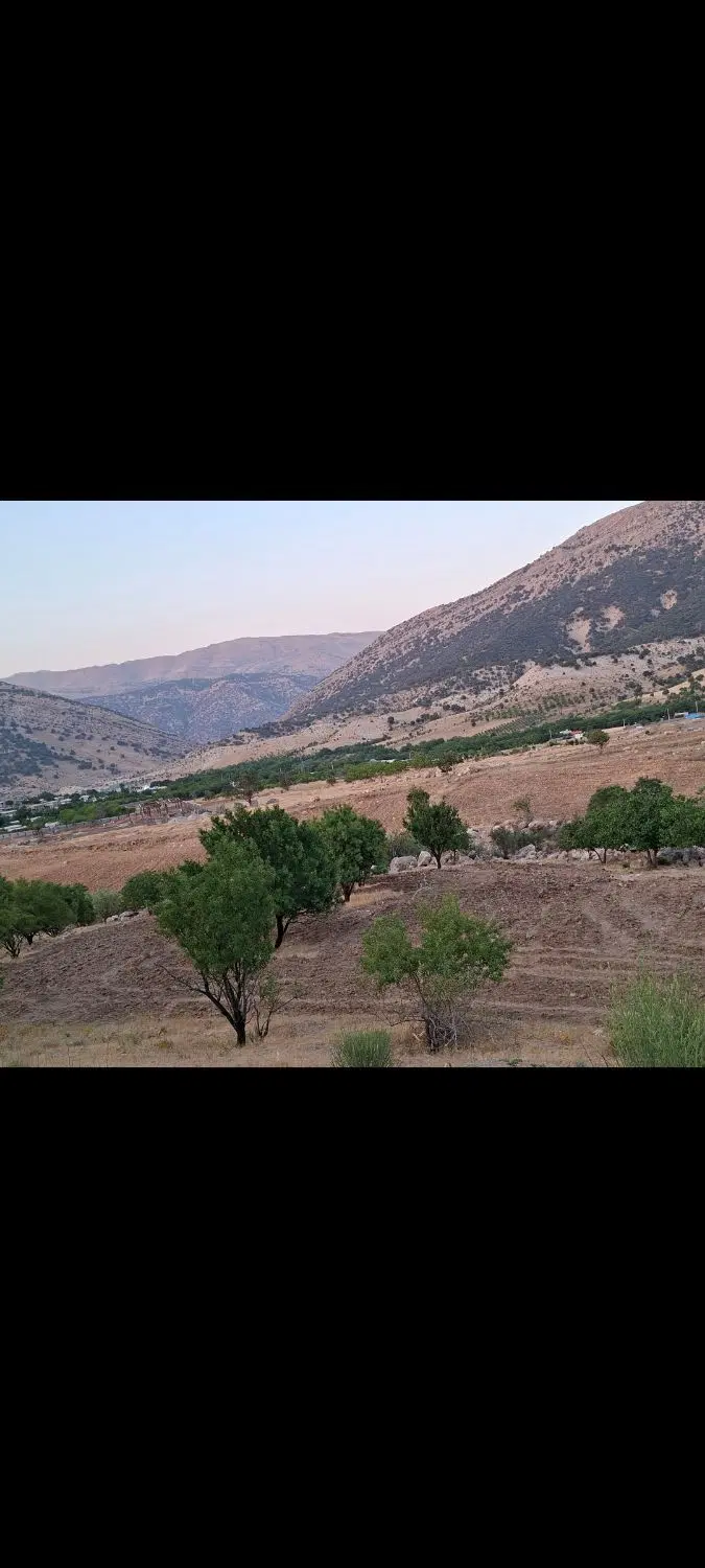 زمین یاسوج وزگ