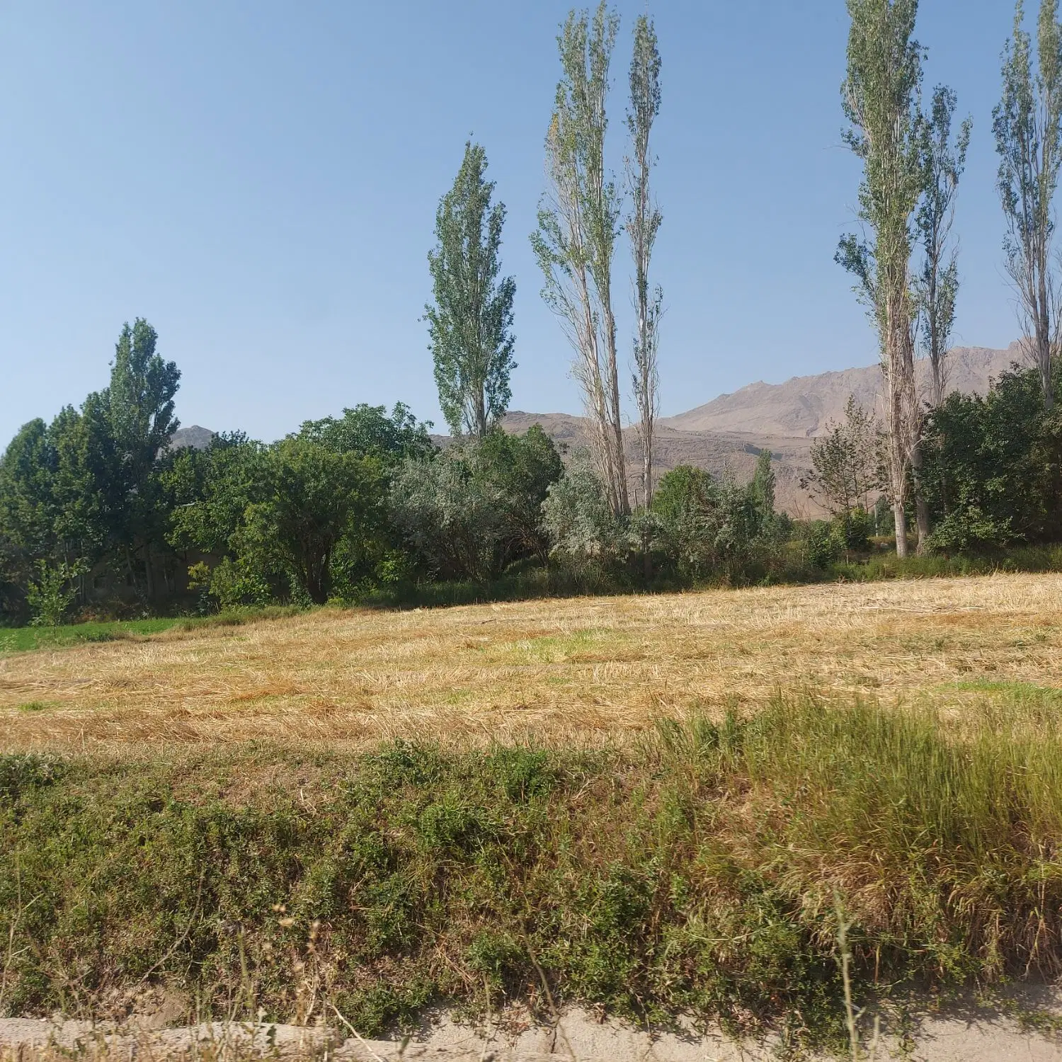 زمین