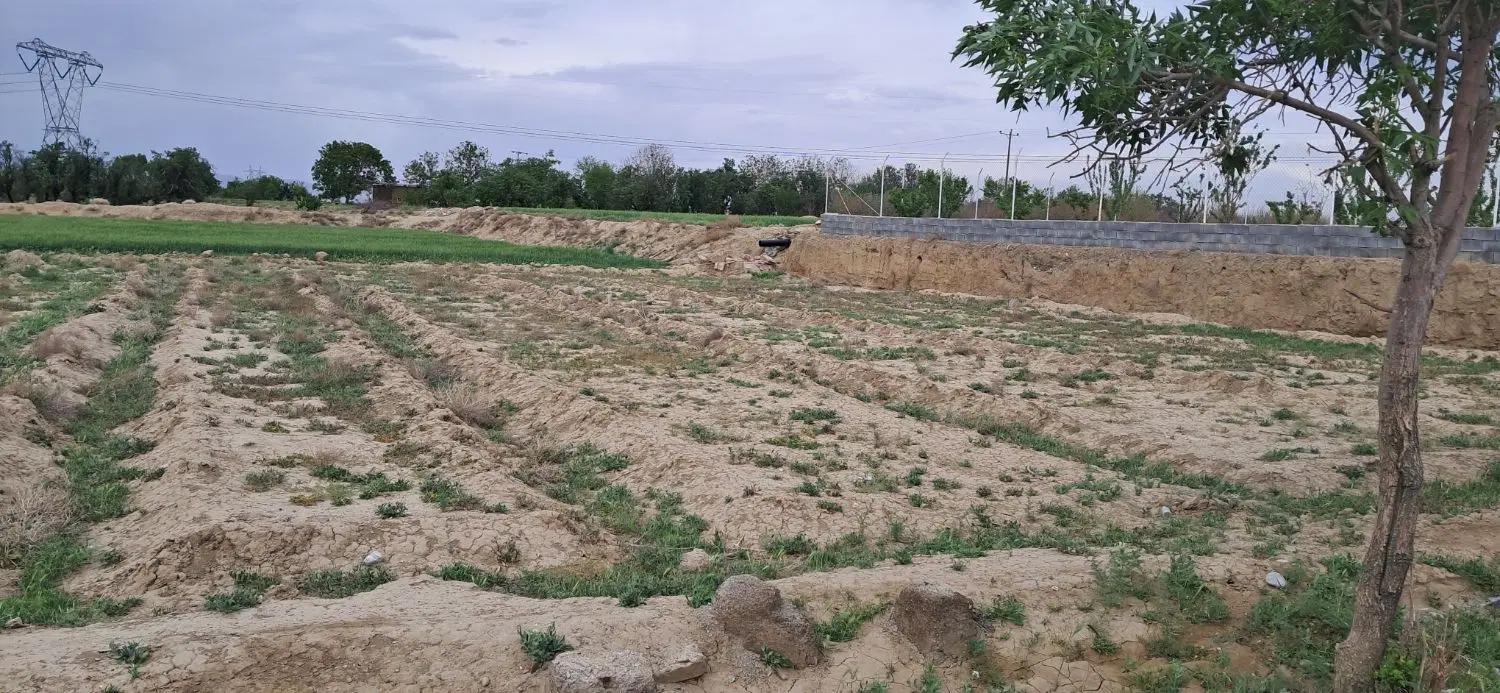 زمین مزروعی کشاورزی
