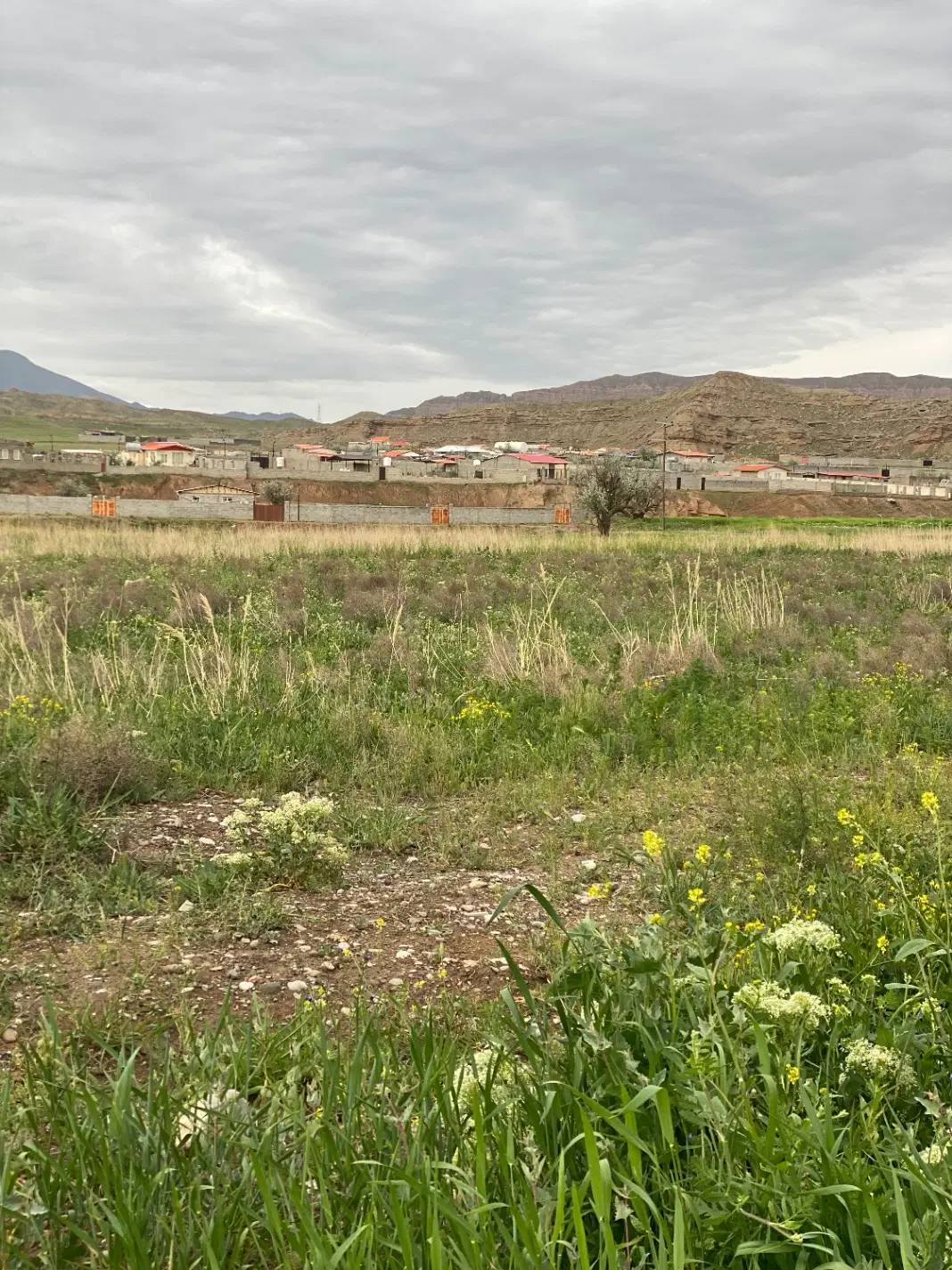 زمین مناسب برای باغ ویلا