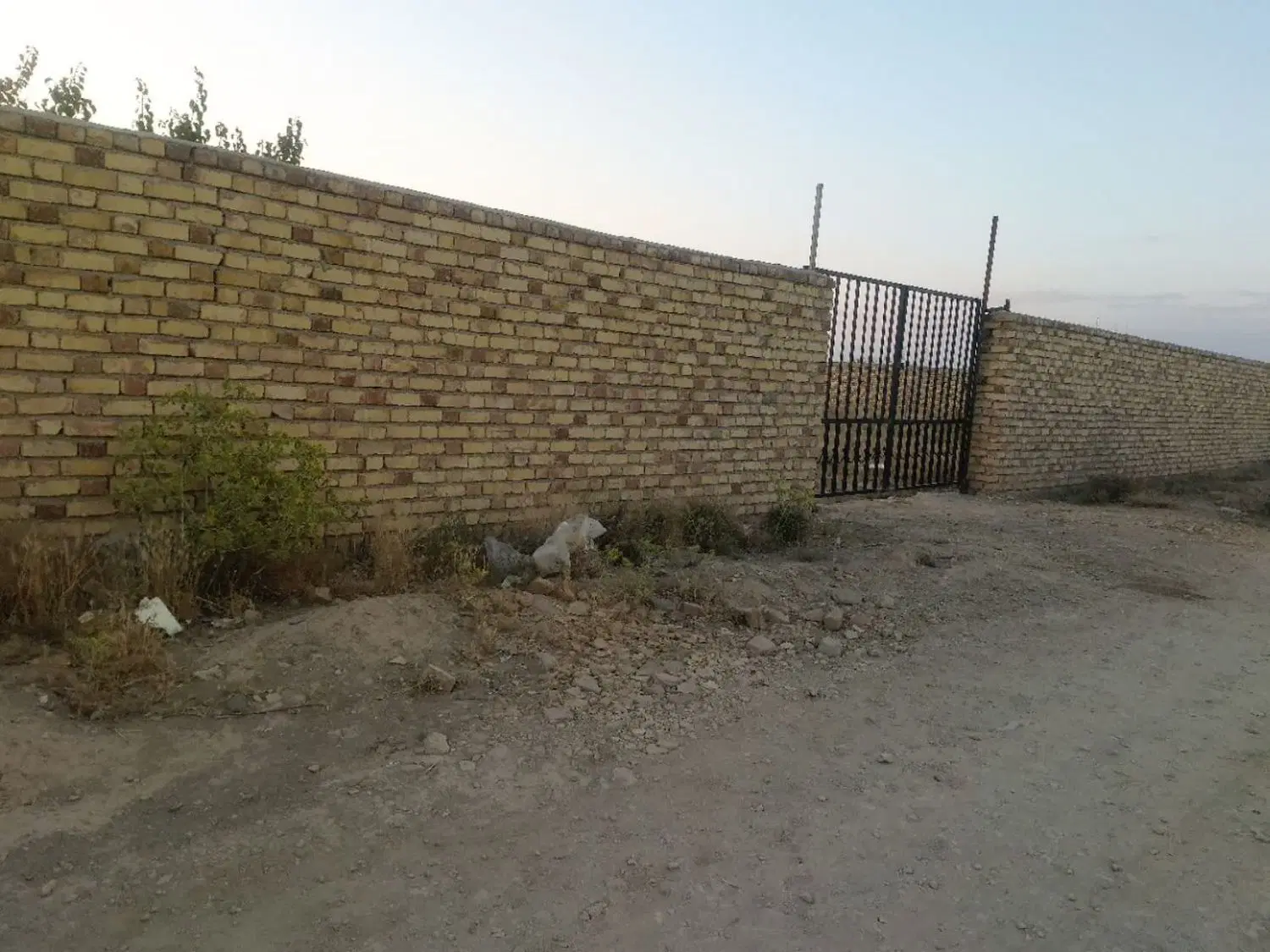 اجاره جهت هرکاری