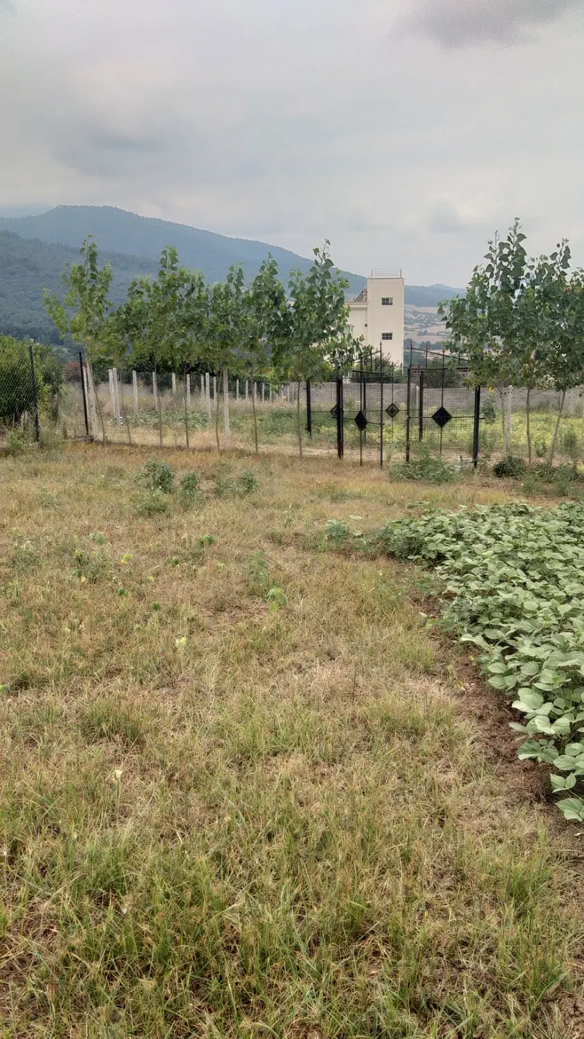 زمین چسبیده به بافت روستای نوچمن