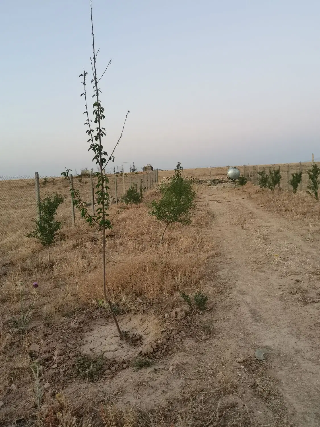 باغ ۵۰۰متری یکانه ارم۳