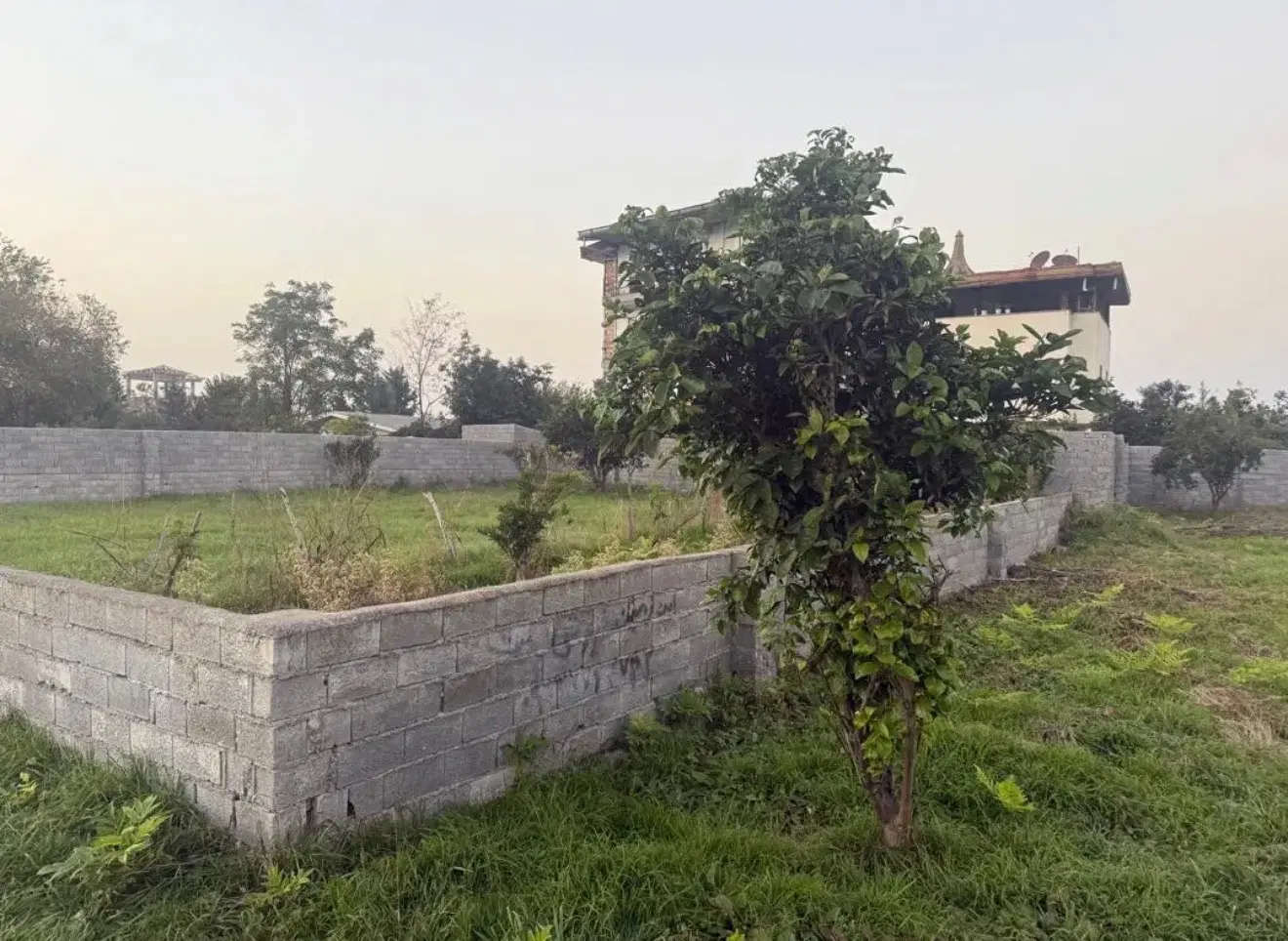 زمین نوشهر - کهنه سرا